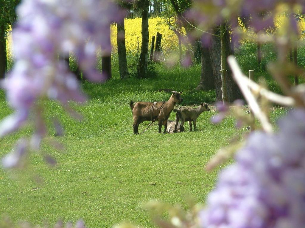 Maison Prairie Bonheur Magny-les-Hameaux Pokoj fotografie