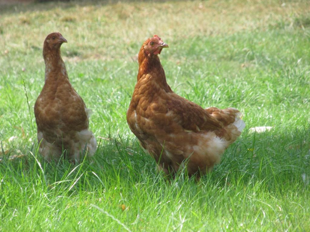 Maison Prairie Bonheur Magny-les-Hameaux Pokoj fotografie